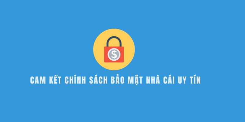 Chi tiết các cam kết trong chính sách bảo mật của Nhà Cái Uy Tín